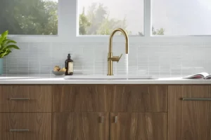Kohler sink